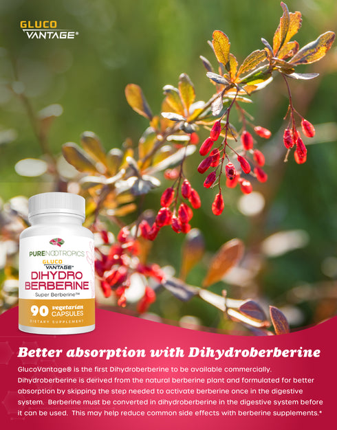 Dihydroberberine (GlucoVantage®) Capsules